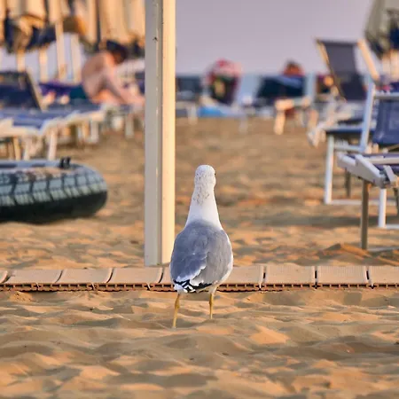 Apartment Relax In Our Flat With Sea View Terrace Bibione